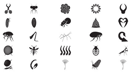 Collection of Black Insect Silhouettes and Icons graphic