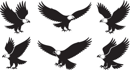 Obraz premium Six Majestic Bald Eagle Silhouettes in Varied Flight Poses, Design on White
