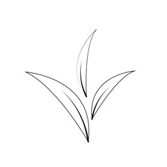 black and green leaves