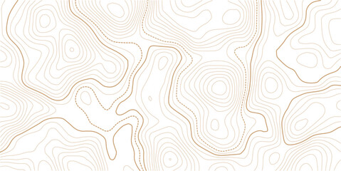 Stylized topographic contour map. Geographic line mountain relief. Abstract lines or wavy backdrop background. Cartography, topology, or terrain path concept. Vector  Illustration.