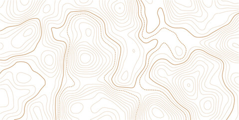 Stylized topographic contour map. Geographic line mountain relief. Abstract lines or wavy backdrop background. Cartography, topology, or terrain path concept. Vector  Illustration.
