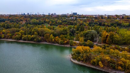 Autumn forest near river with cityscape in background
