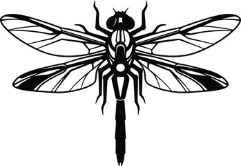 Vector detailed dragonfly insect top view black and white silhouette illustration