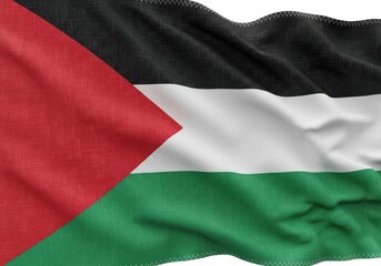 Grunge palestine flag waving isolated on white background in the wind