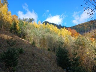 Fototapeta premium autumn in the mountains