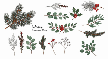 Vector collection of Christmas branches and pine needles in flat minimalist style for holiday cards and packaging.