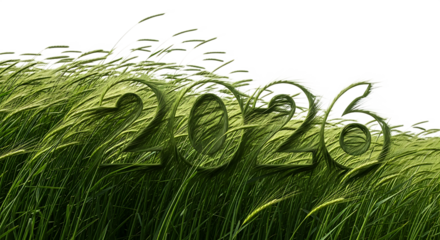 2026 Year Wheat Field Inscription Agriculture Harvest Prosperity Growth Concept