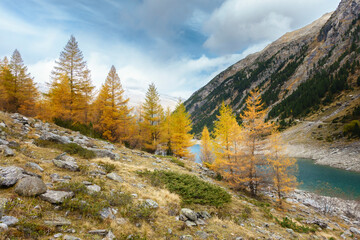 Bergsee umrahmt von herbstlichen Bergen in Österreich