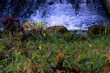 Small waterfall with mossy stones and green grass in autumn nature – peaceful flowing water scene symbolizing freshness, calm, and natural beauty