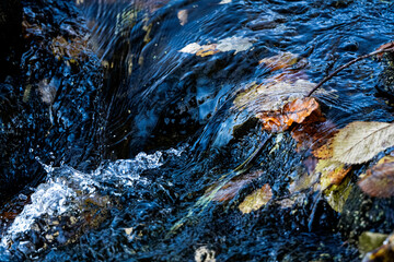 Autumn stream flowing over mossy stones with fallen leaves – close-up of clear running water in forest nature scene symbolizing calmness, purity, and movement