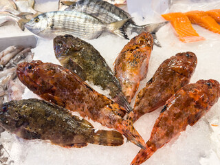 Fresh seafood market display with whole fish on ice