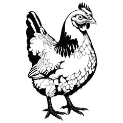 Farm Hen Vector Design