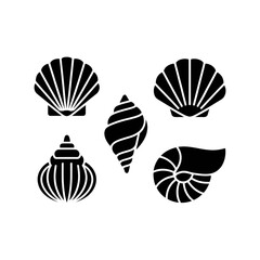 Elegant seashell outlines for coastal design projects
