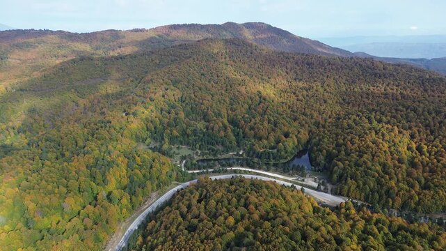 The colors of the tree leaves in the mountains in autumn and the winding, dangerous road. 