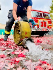 Firefighter rolling hose in the fall leaves.