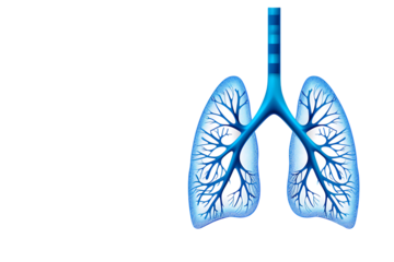 Vibrant blue lungs illustration with intricate branching airways, symbolizing health, life, and respiratory system science for medical concepts