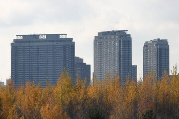 Beautiful view of trees with yellow leaves against the backdrop of multi-story buildings in a blue haze