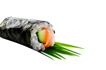 Fresh salmon and cucumber sushi roll with vibrant green garnish, a delicious culinary delight for healthy eating and Asian cuisine promotion