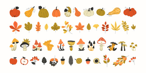 Big autumn set of seasonal elements: pumpkins, leaves, mushrooms, fruits, and berries