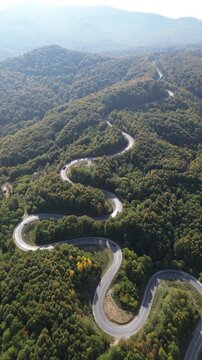 The colors of the tree leaves in the mountains in autumn and the winding, dangerous road. 