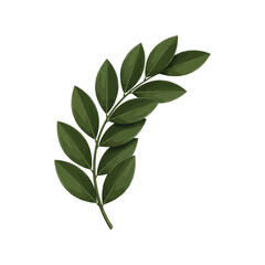 Green leaf branch isolated on white natural plant part isolated natural element vector
