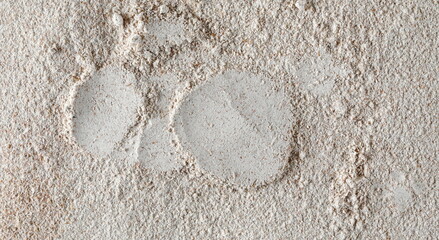 Pile of integral spelt wheat flour background and texture, top view