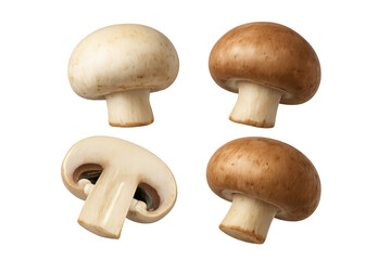 Fototapeta premium Fresh white button and cremini mushrooms, whole and sliced, providing healthy cooking ingredients on transparent background