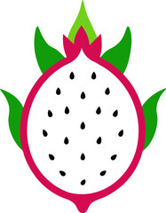 Dragon Fruit Outline Color Vector