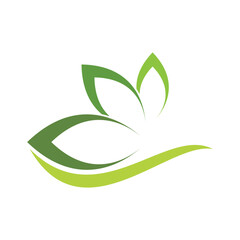 Green leaf ecology nature element