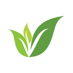 Green leaf ecology nature element