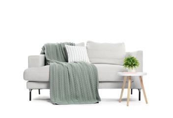 Soft sofa and coffee table with houseplant isolated on white