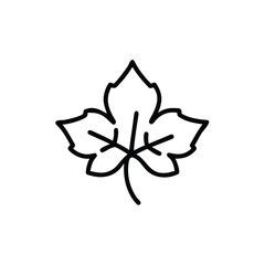 vector illustration of a flower