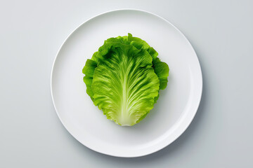 Minimalist scene with a single lettuce leaf on a large white plate, diet restriction symbolism