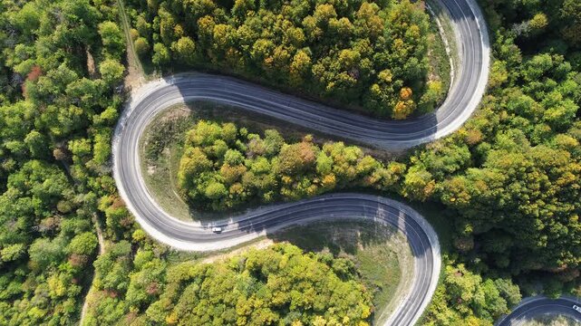 The colors of the tree leaves in the mountains in autumn and the winding, dangerous road. 