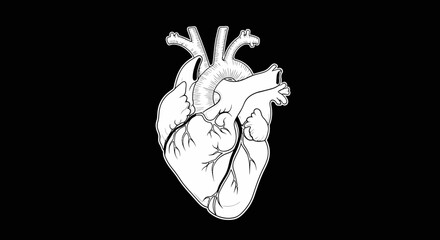 Anatomical illustration of a human heart in black and white, depicting its intricate details against a dark background, perfect for medical or scientific presentations