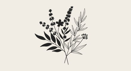 Elegant floral illustration of delicate botanical branches with leaves and blooms in a minimalist style