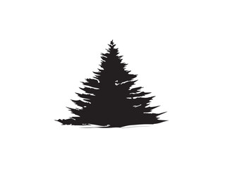 Evergreen fir tree outline icon in smooth 2D vector line art style  