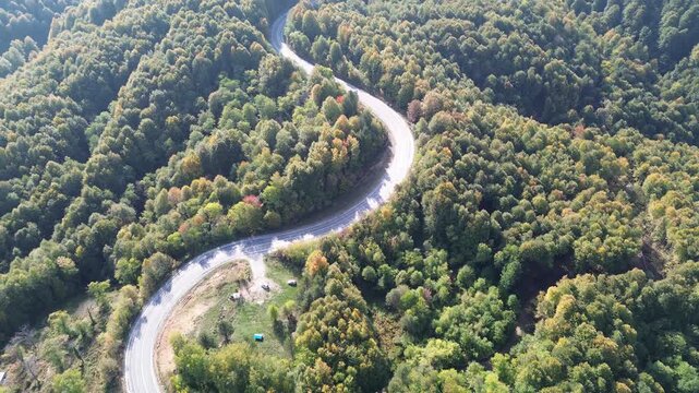 The colors of the tree leaves in the mountains in autumn and the winding, dangerous road. 