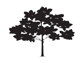 Magnolia tree blooms silhouette icon as floral 2D vector line art illustration © Saad