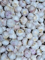 White garlic pile texture. Fresh garlic on market table closeup photo. Vitamin healthy food spice image. Spicy cooking ingredient picture. Pile of white garlic heads. White garlic head heap top view
