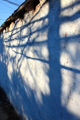 Angled view of a textured, white wall with tree shadows cast across its surface