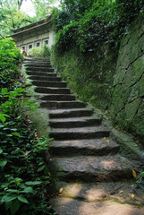 Ancient stone stairs with green moss