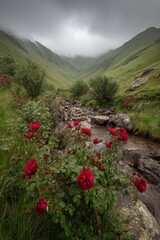 A mountain valley stream flows past blooming red roses under a cloudy sky