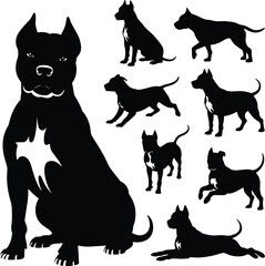 Pitbull Silhouettes Collection Black and White Vector Illustration Dogs Design