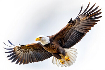 An eagle is soaring high with its wings fully extended, showcasing its impressive feathers. The bird exudes power and freedom against a bright, uncluttered backdrop.