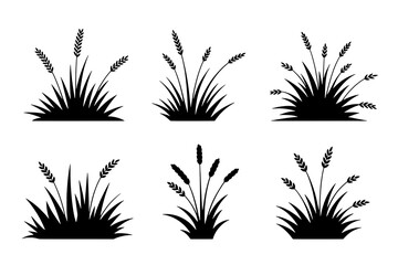 Six Solid Black Wheat and Grass Icons in 2x3 Grid, Featuring Diverse Grain Stalks and Clump Shapes, Flat Minimalist Style on White.