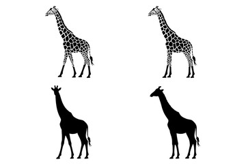 Four Giraffe Illustrations in Black and White: Spotted and Solid Silhouettes in a 2x2 Grid