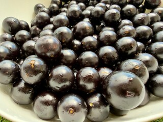Jabuticabas frescas e brilhantes, colhidas do pé, exibem toda a riqueza e o sabor autêntico do Brasil. Frutas tropicais cheias de cor, frescor e natureza em cada detalhe.