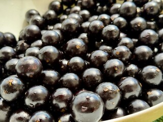Jabuticabas frescas e brilhantes, colhidas do pé, exibem toda a riqueza e o sabor autêntico do Brasil. Frutas tropicais cheias de cor, frescor e natureza em cada detalhe.