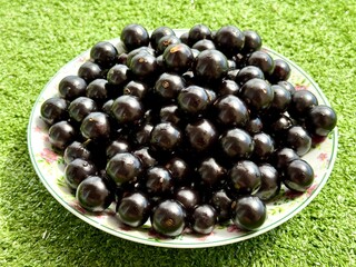 Jabuticabas frescas e brilhantes, colhidas do pé, exibem toda a riqueza e o sabor autêntico do Brasil. Frutas tropicais cheias de cor, frescor e natureza em cada detalhe.
